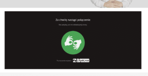 Tlumacz online jezyka migowego Tlumacz Zamigam_2